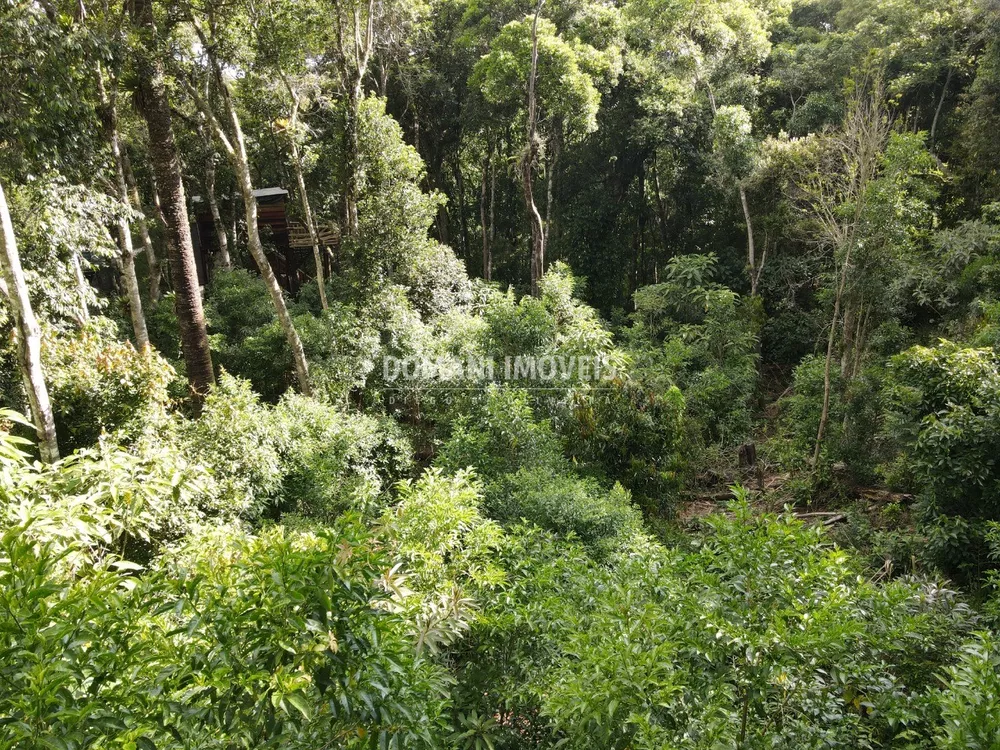 Terreno à venda, 2050m² - Foto 3