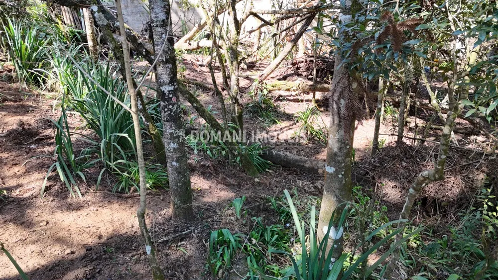 Terreno, 1080 m² - Foto 7