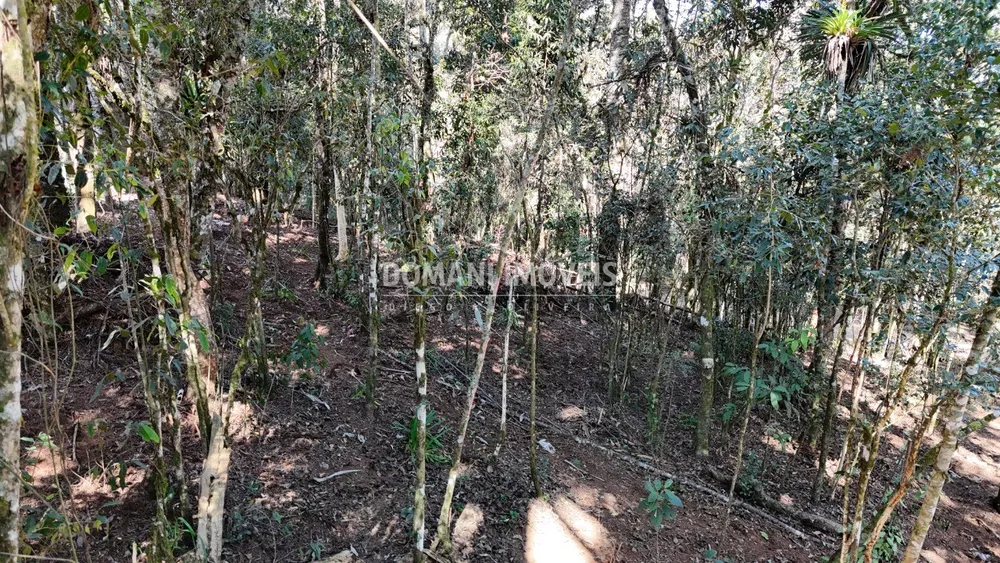 Terreno, 1080 m² - Foto 8