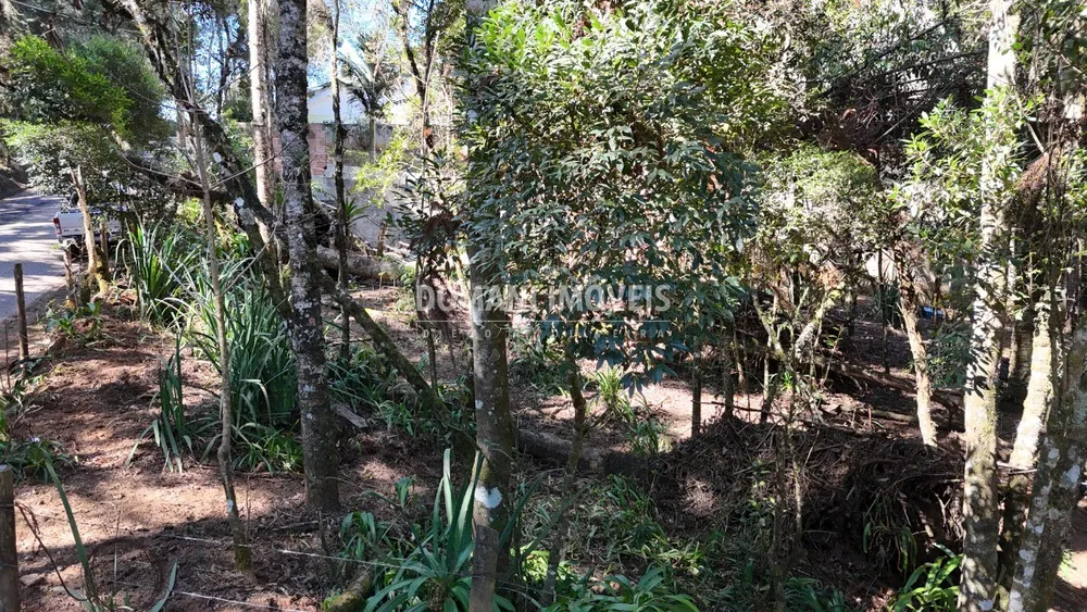 Terreno, 1080 m² - Foto 3