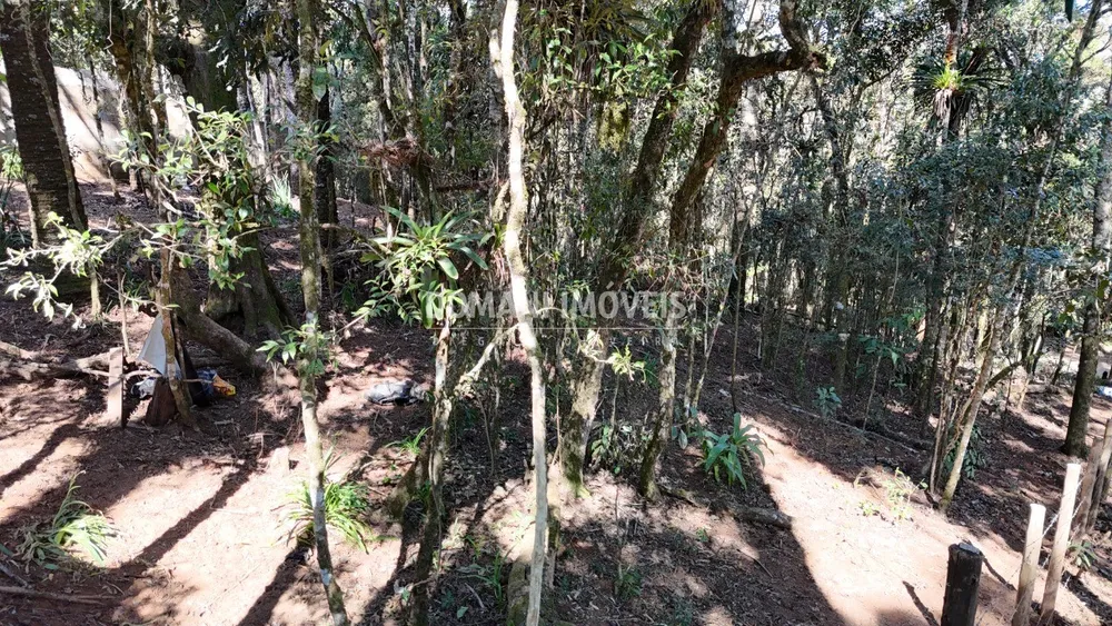 Terreno, 1080 m² - Foto 5