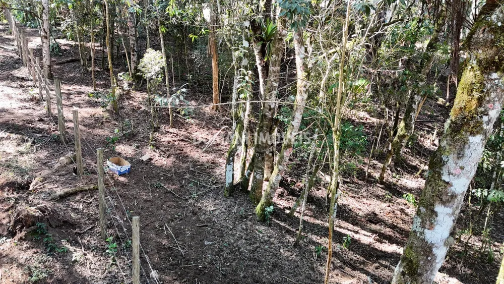 Terreno, 1080 m² - Foto 2