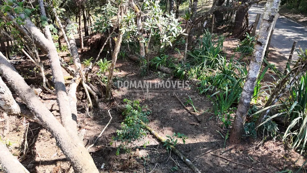 Terreno, 1080 m² - Foto 4