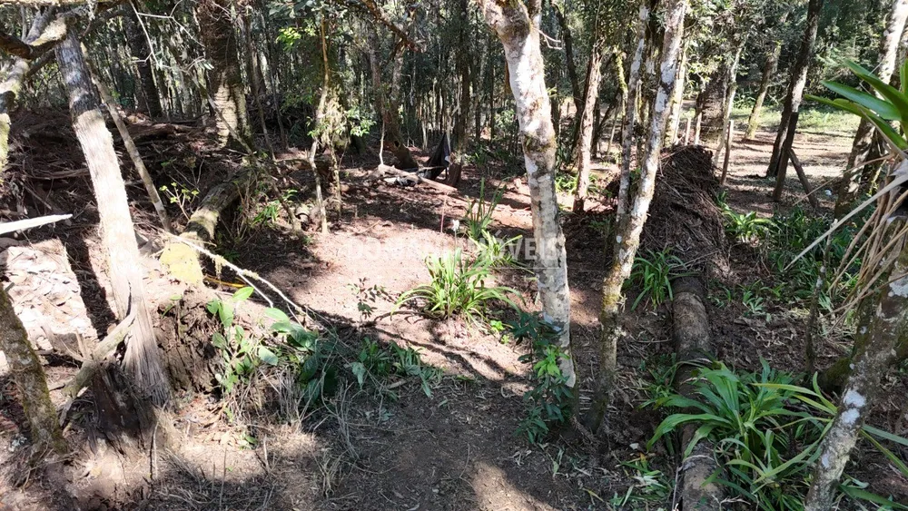 Terreno, 1080 m² - Foto 6