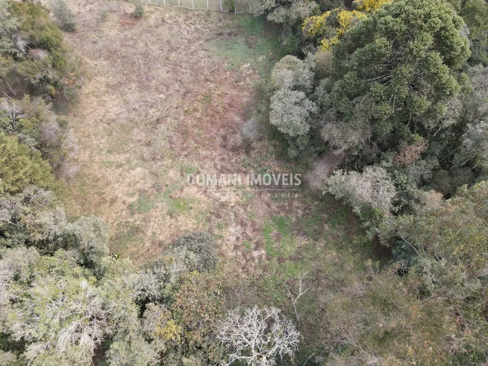 Terreno, 2400 m² - Foto 9