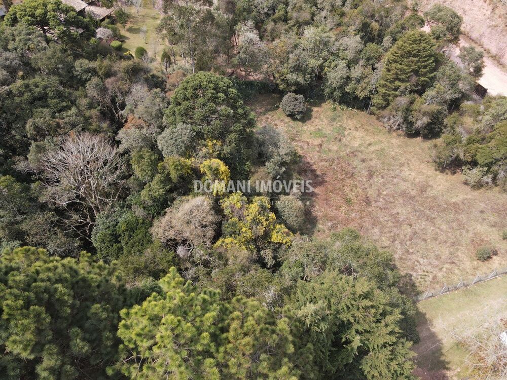 Terreno, 2400 m² - Foto 4