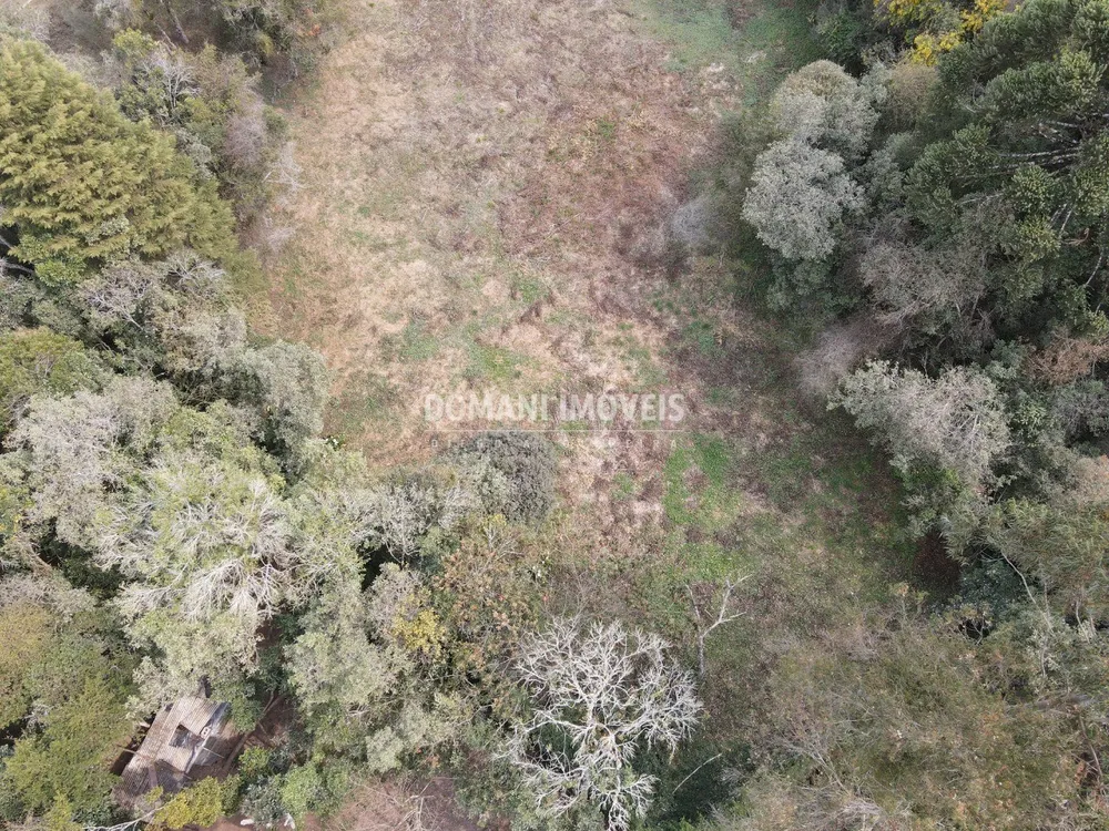 Terreno, 2400 m² - Foto 12