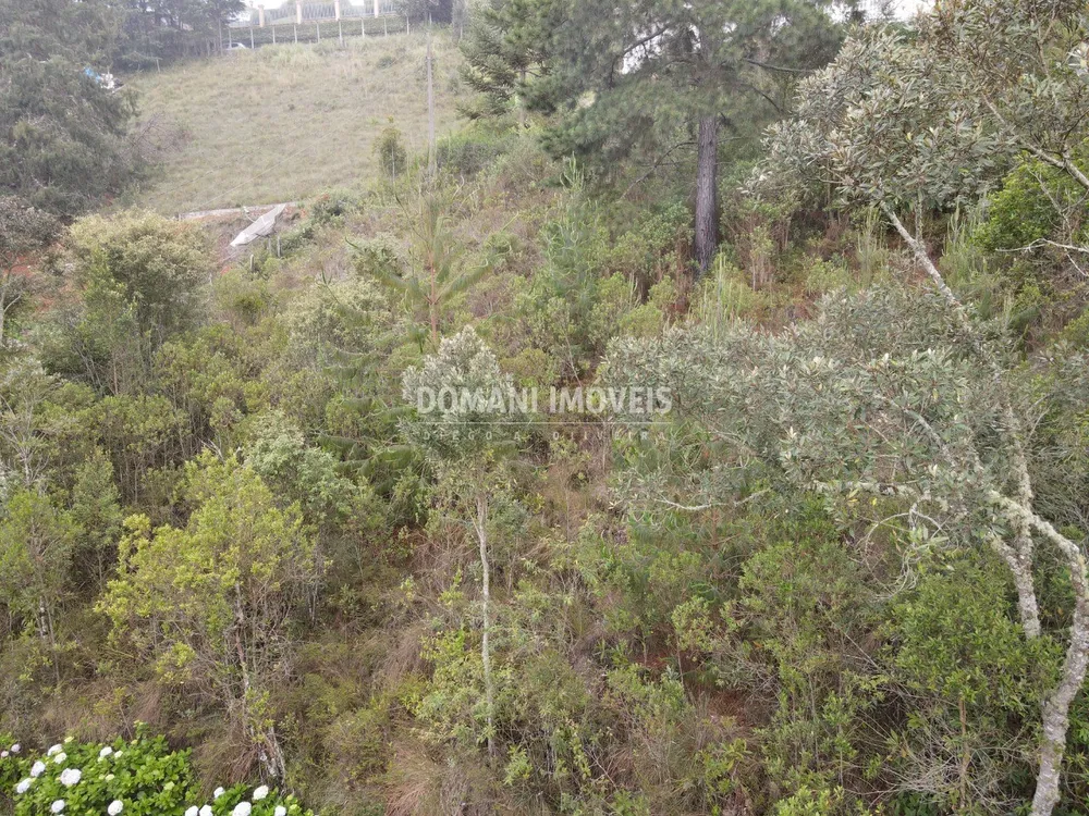 Terreno, 1200 m² - Foto 6