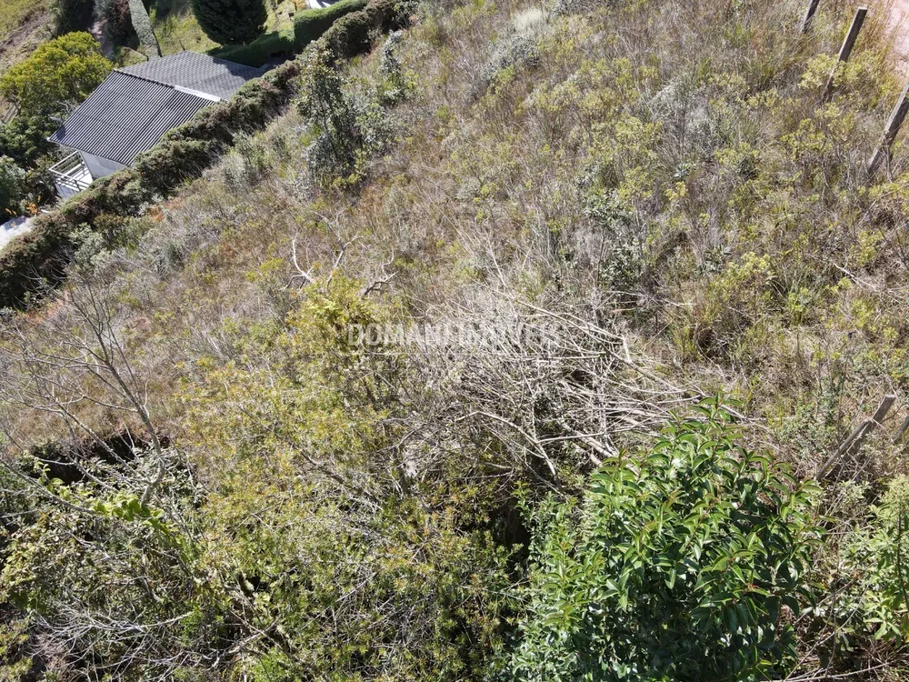 Terreno, 1300 m² - Foto 6