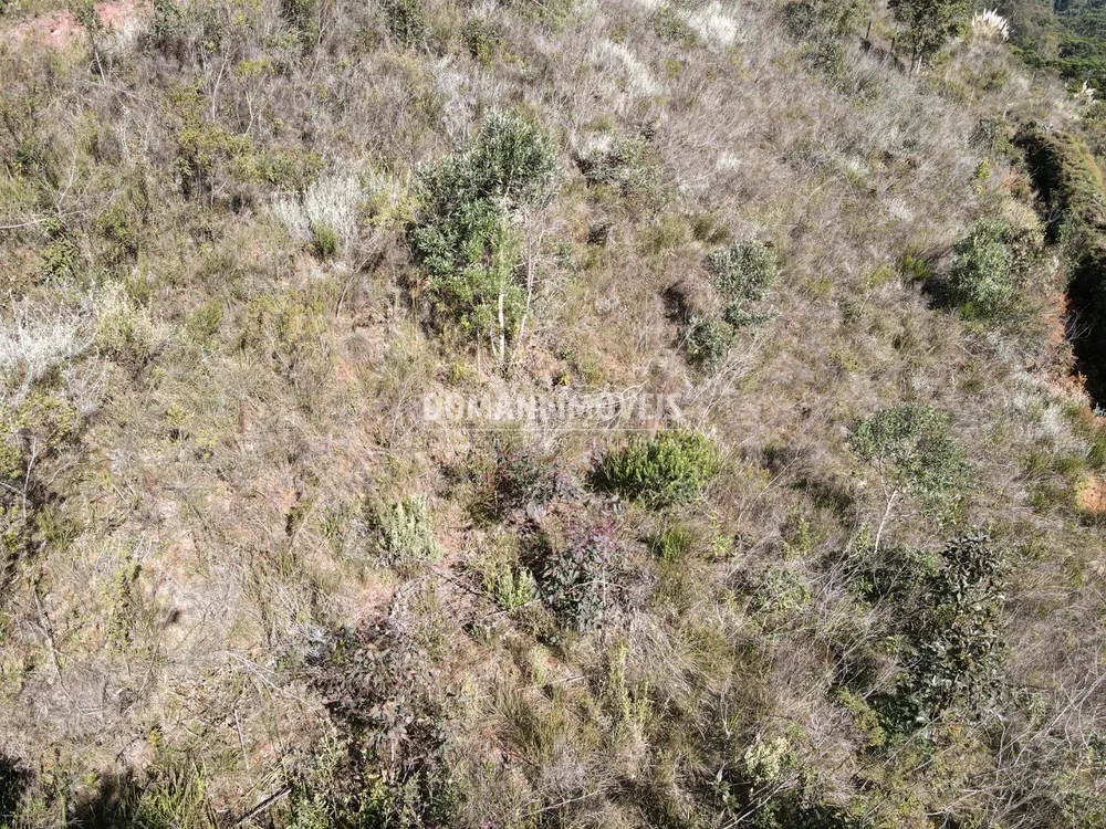 Terreno, 1300 m² - Foto 8
