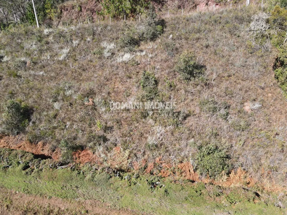 Terreno, 1300 m² - Foto 7