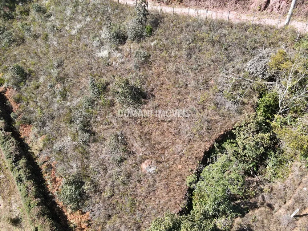 Terreno, 1300 m² - Foto 2