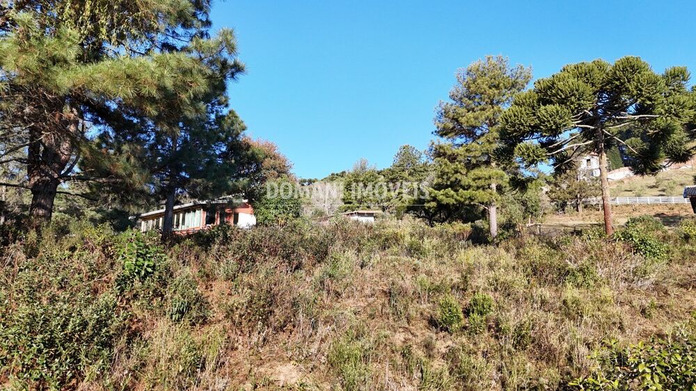 Terreno, 1700 m² - Foto 3