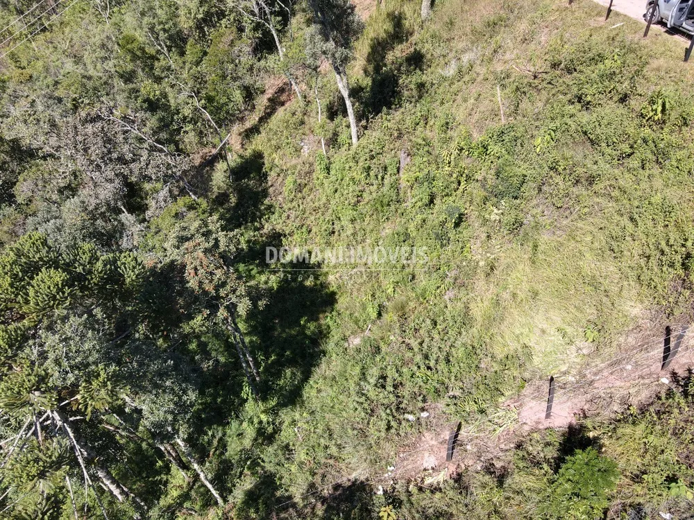 Terreno, 2080 m² - Foto 8