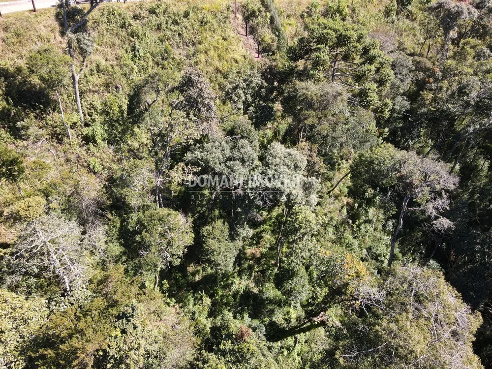 Terreno, 2080 m² - Foto 6