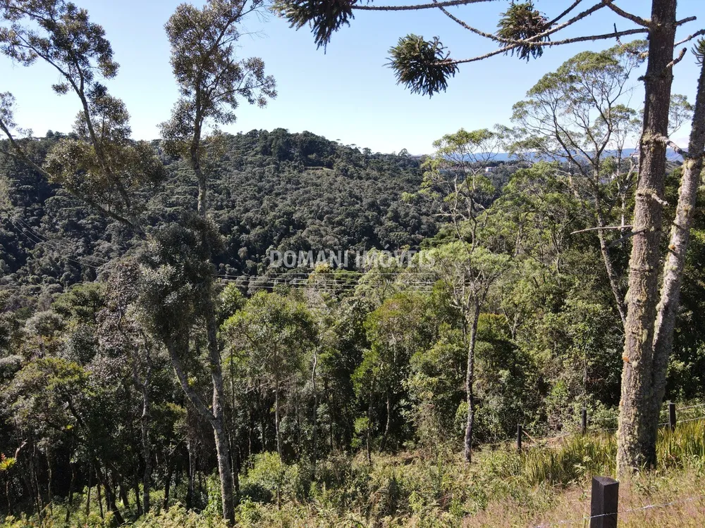 Terreno, 2080 m² - Foto 11