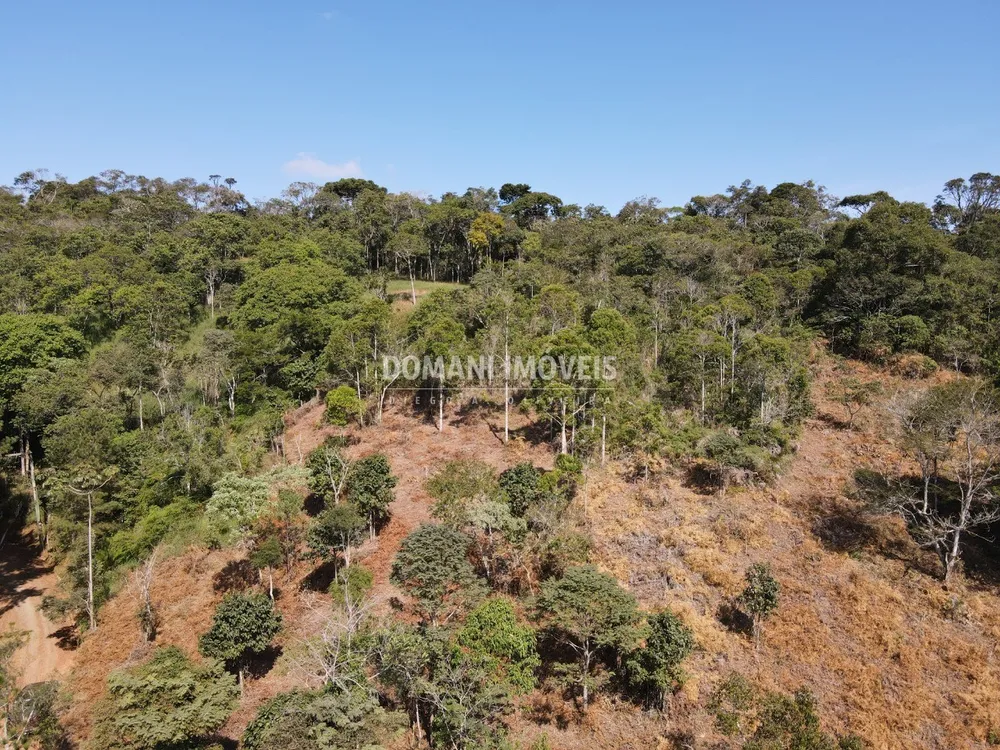 Terreno, 5000 m² - Foto 2