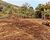 Terreno, 2100 m² - Foto 1