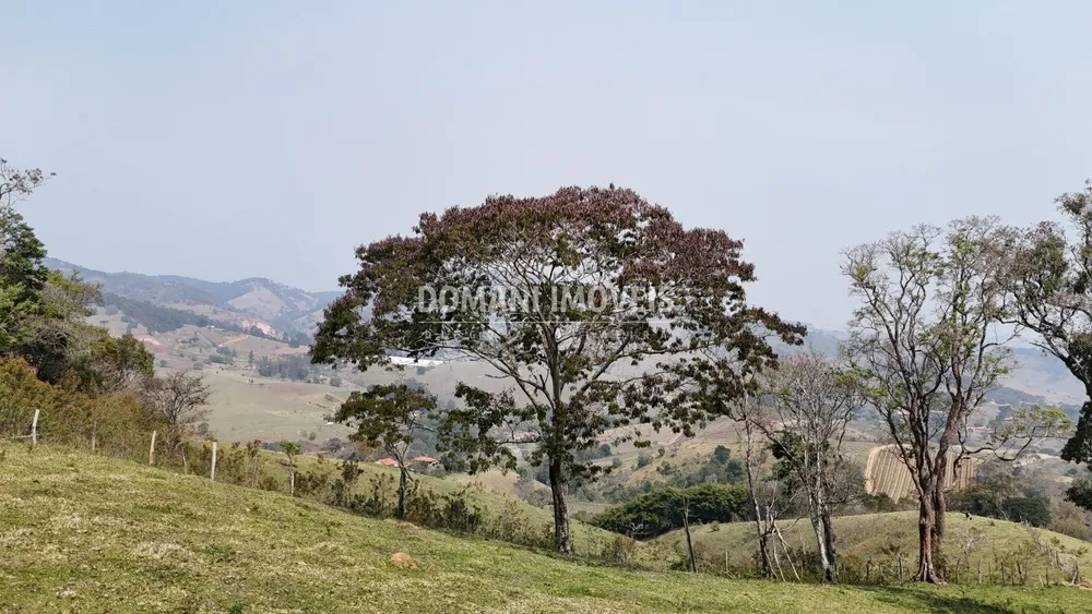 Fazenda - Foto 5