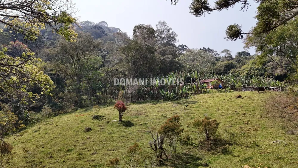 Fazenda - Foto 4