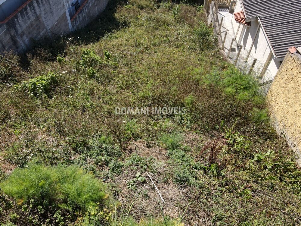 Terreno, 250 m² - Foto 4