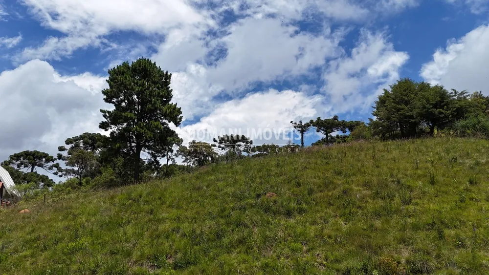 Terreno, 1040 m² - Foto 3