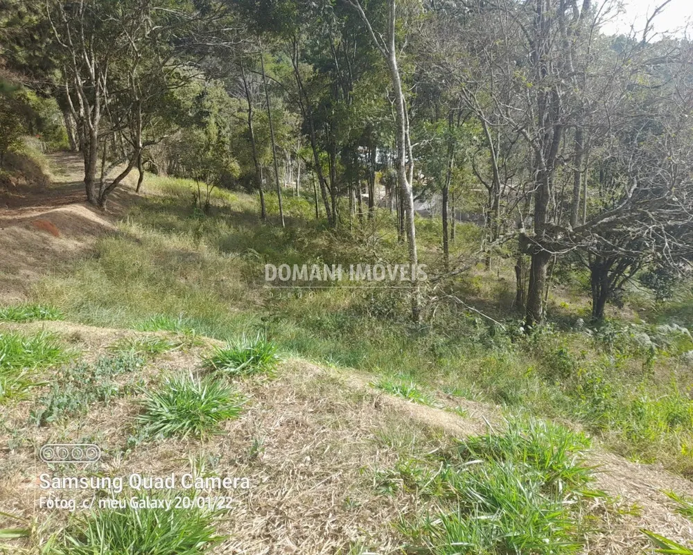 Terreno, 7300 m² - Foto 12