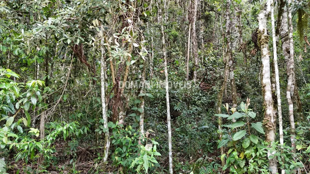 Terreno, 1030 m² - Foto 6