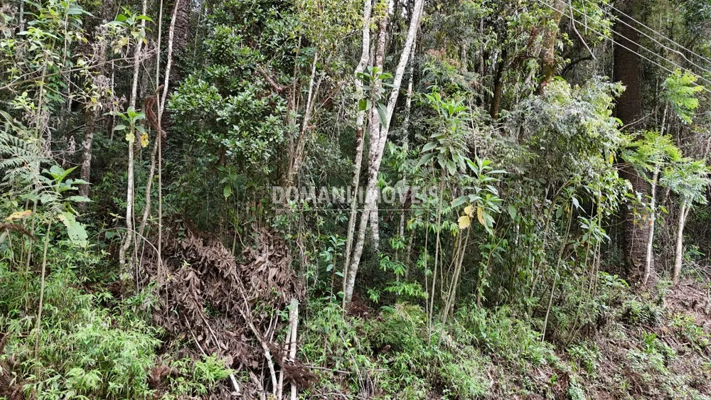 Terreno, 1030 m² - Foto 5