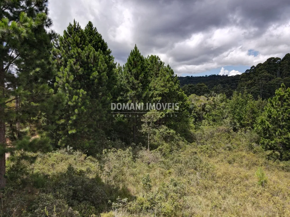 Terreno, 3030 m² - Foto 4
