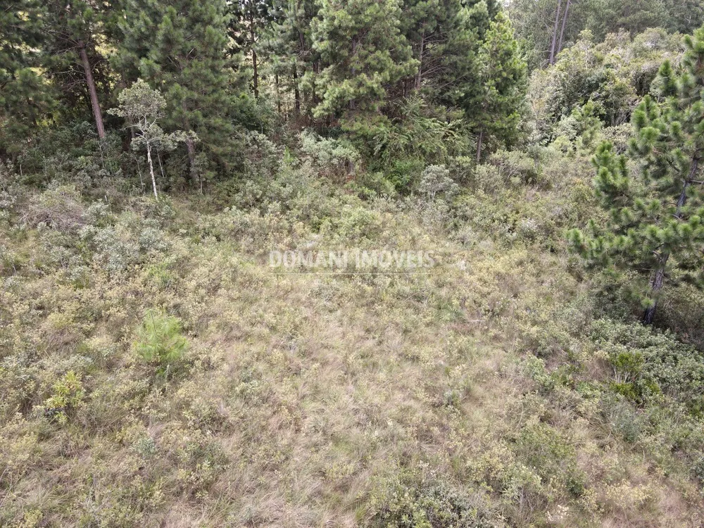 Terreno, 3030 m² - Foto 6