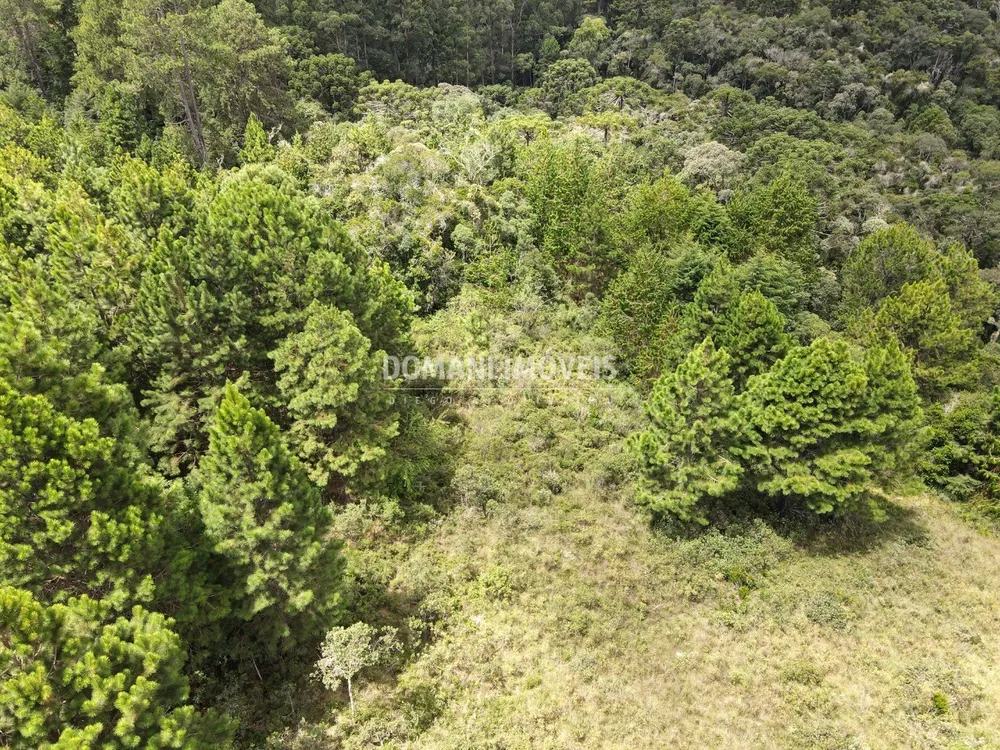 Terreno, 3030 m² - Foto 2