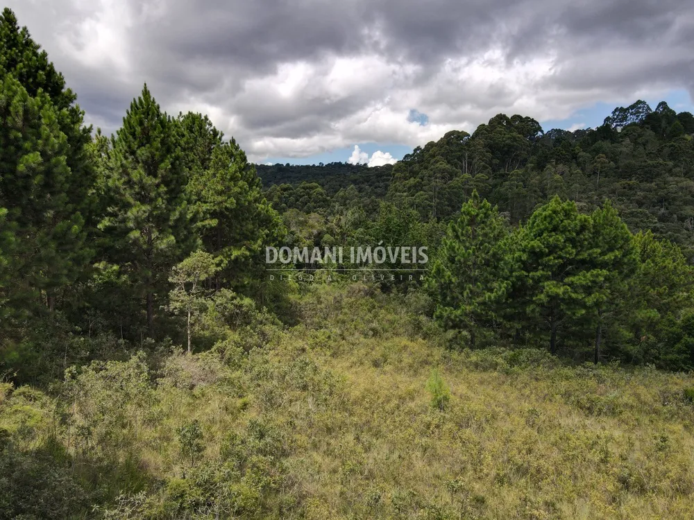 Terreno, 3030 m² - Foto 3