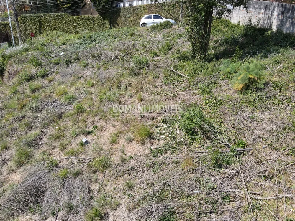 Terreno, 470 m² - Foto 6