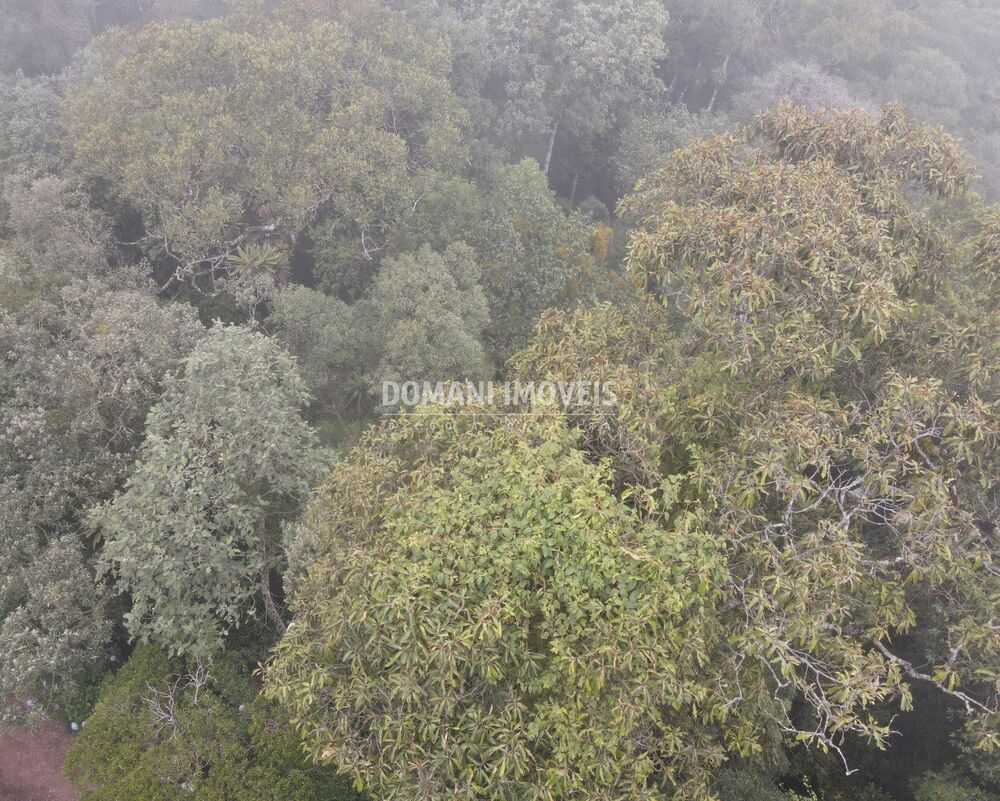 Terreno, 2370 m² - Foto 4