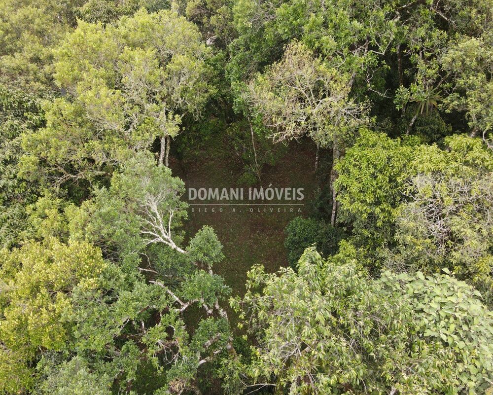 Terreno, 2370 m² - Foto 3