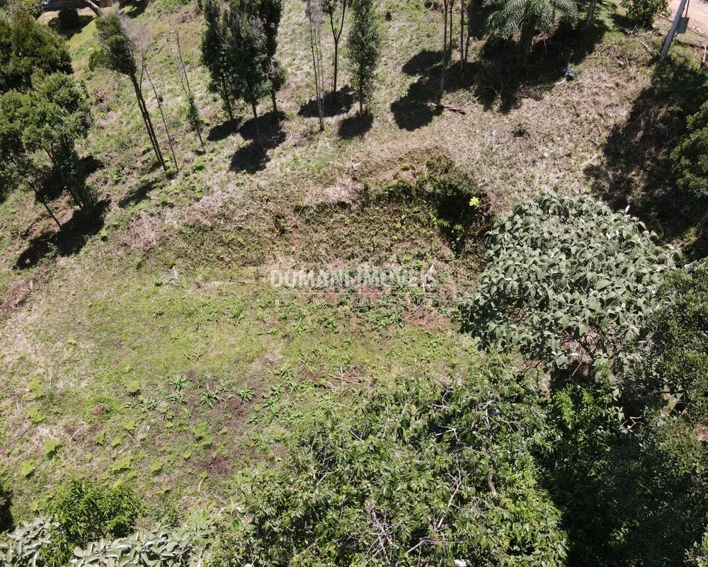 Terreno, 1080 m² - Foto 7