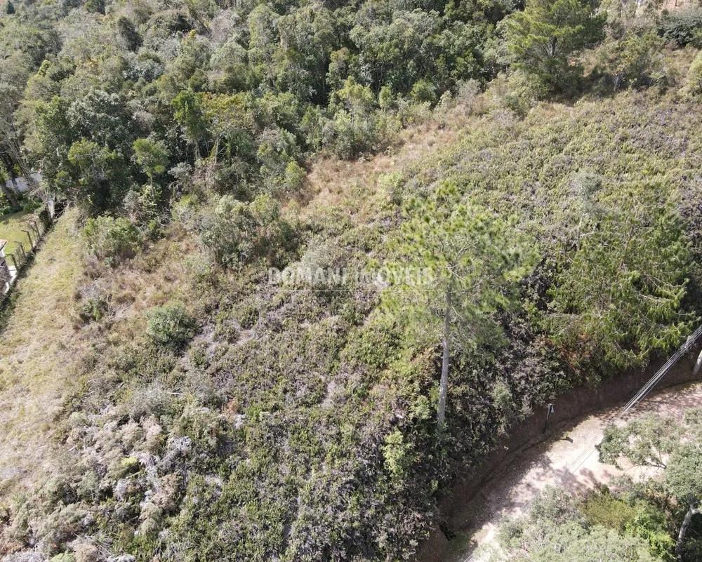 Terreno, 6650 m² - Foto 2