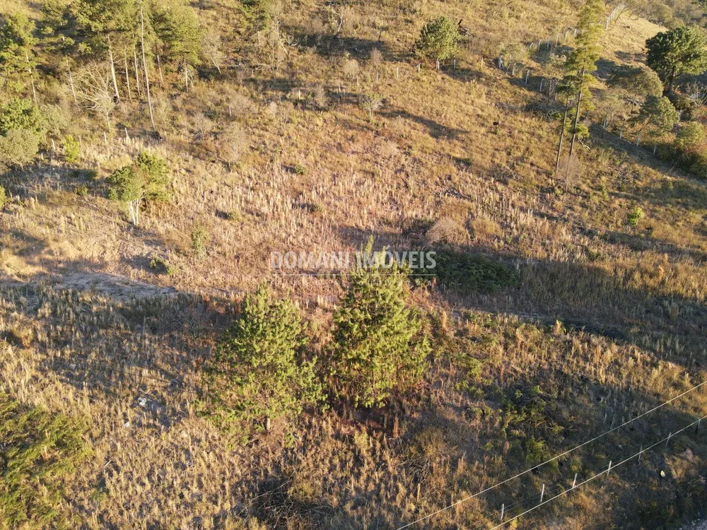 Terreno, 6200 m² - Foto 5