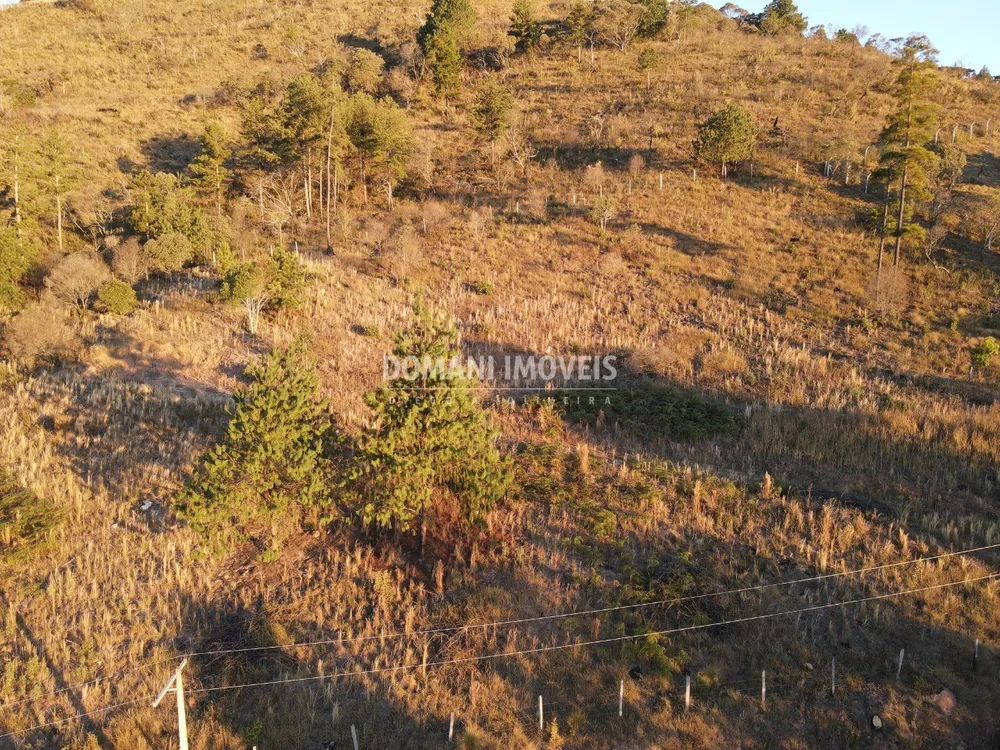 Terreno, 6200 m² - Foto 2