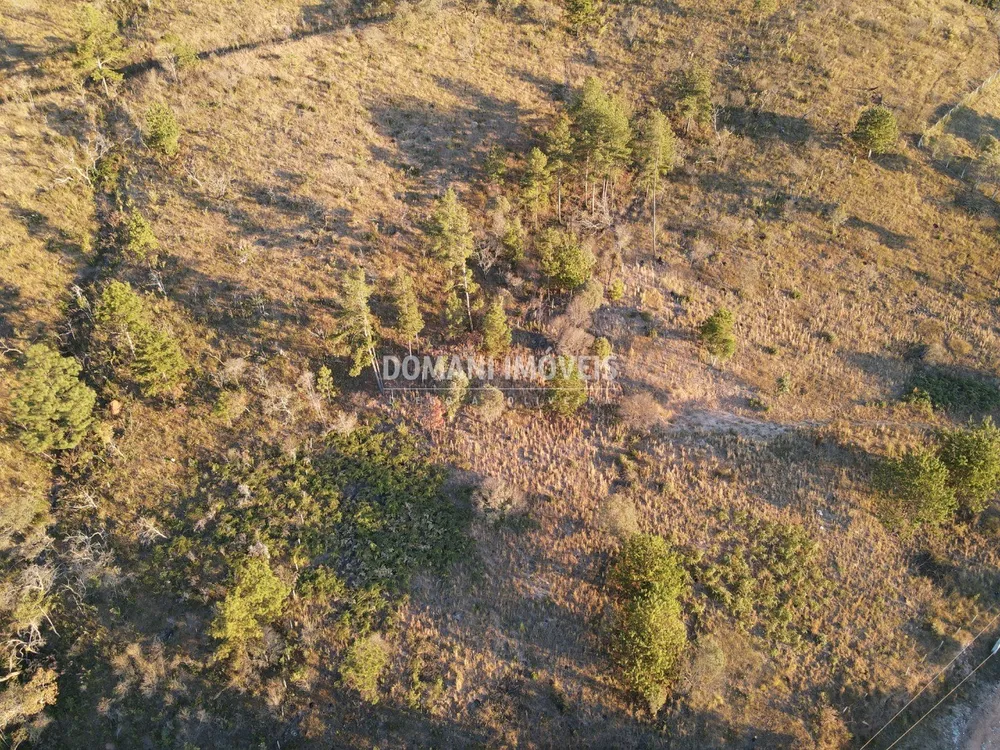 Terreno, 6200 m² - Foto 8