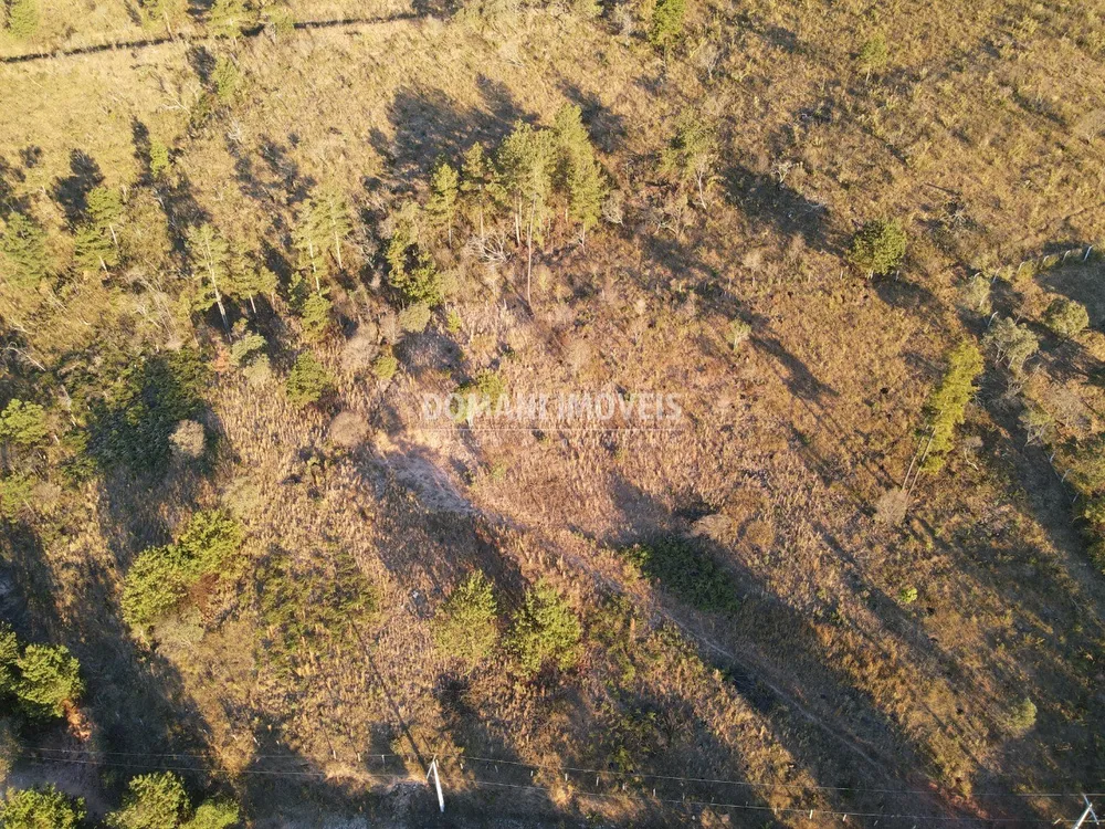 Terreno, 6200 m² - Foto 6
