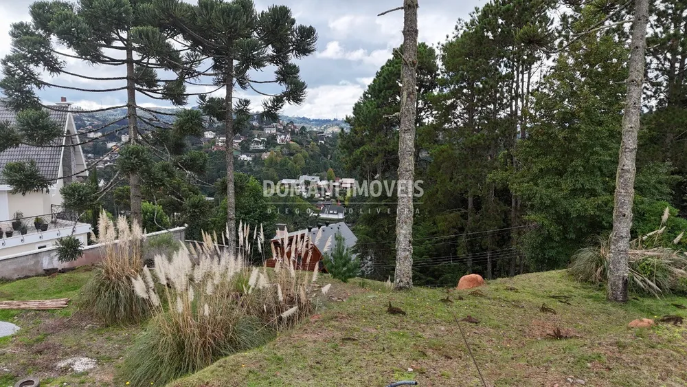 Terreno, 1010 m² - Foto 11