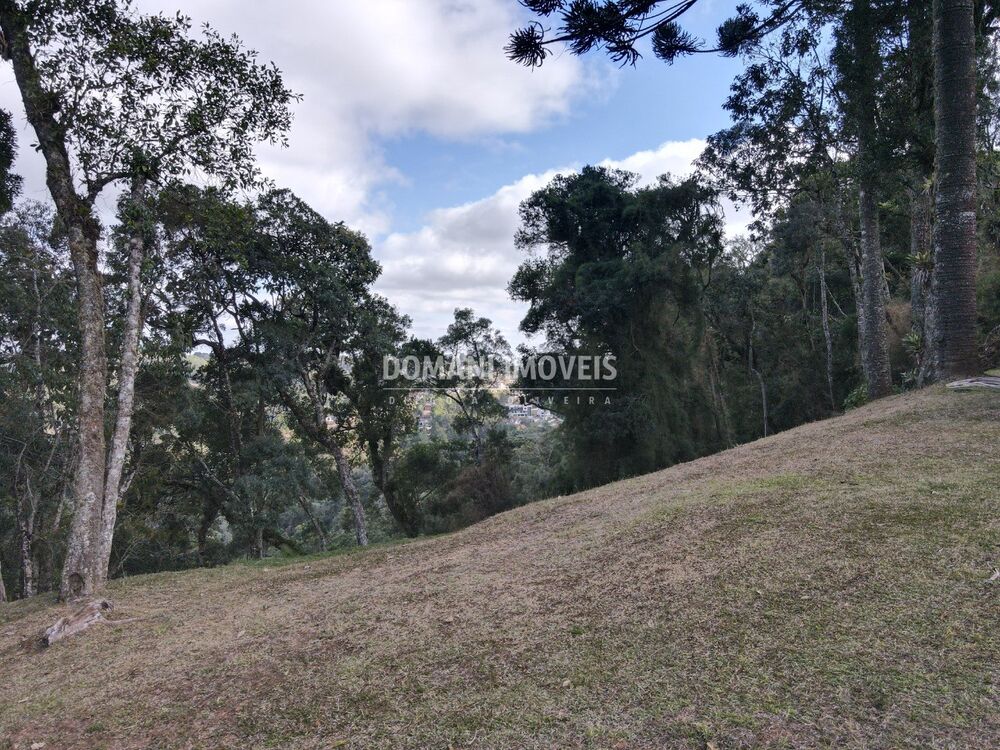 Terreno, 1115 m² - Foto 3