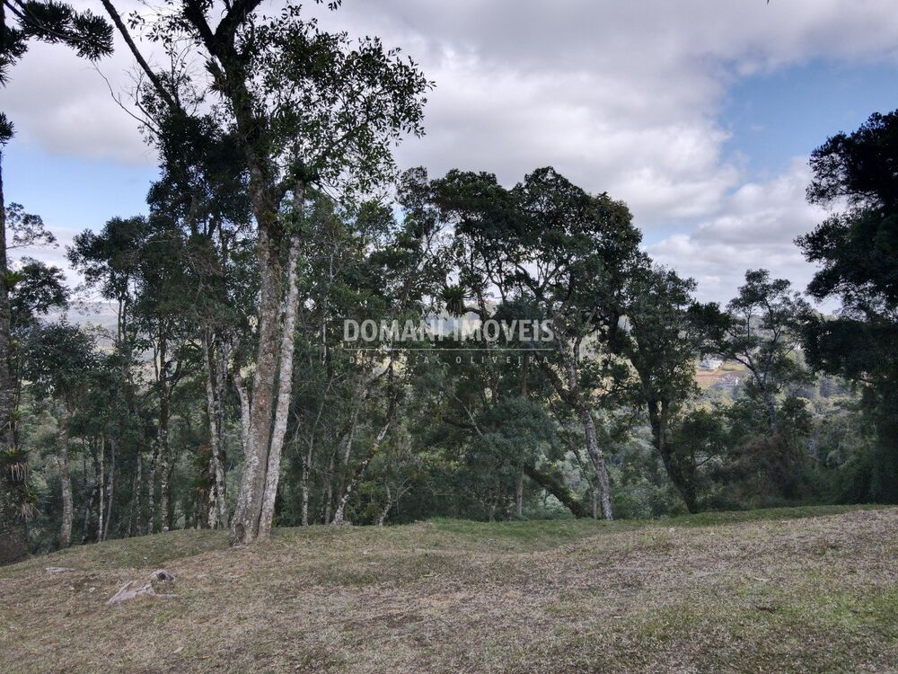 Terreno, 1115 m² - Foto 9