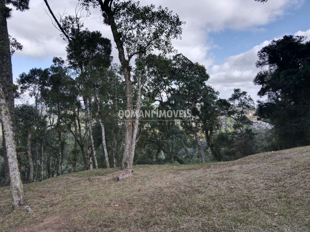Terreno, 1115 m² - Foto 8