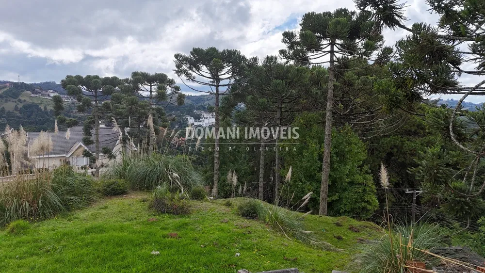 Terreno, 1235 m² - Foto 9