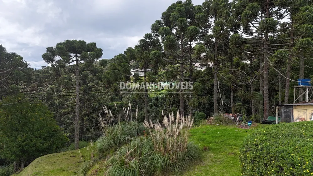 Terreno, 1235 m² - Foto 5