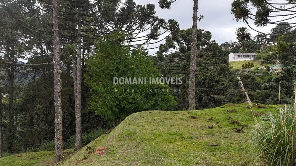 Terreno, 1235 m² - Foto 11