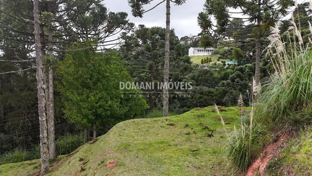 Terreno, 1235 m² - Foto 12